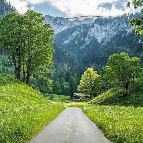 مجید حسینی وارش